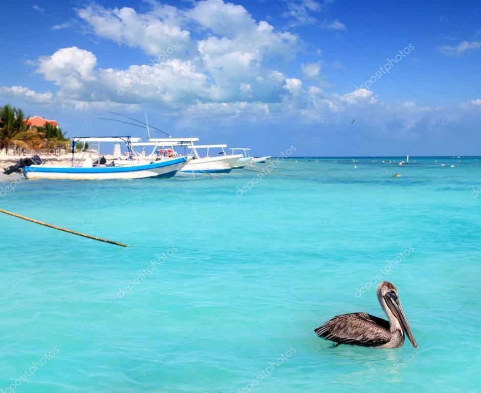 Beach Front House At Puerto Morelos Villa Exterior photo