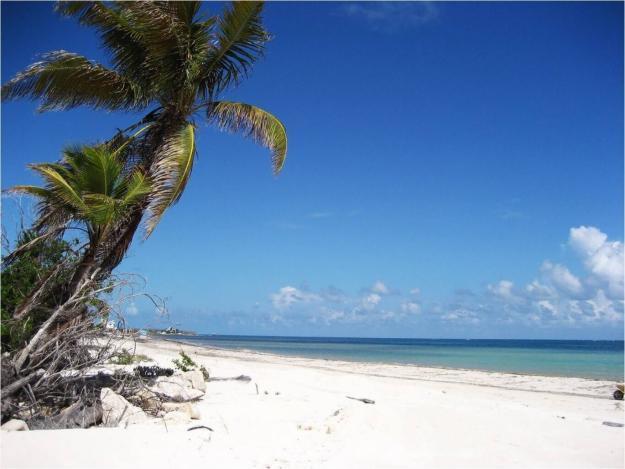 Beach Front House At Puerto Morelos Villa Exterior photo